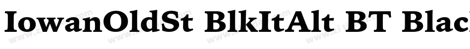 IowanOldSt BlkItAlt BT Black Italic Alternate字体转换